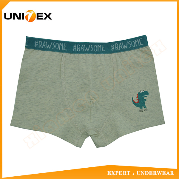 Basic Stylish with Cute Cartoon Printed Boy's Boxer Shorts Underpants