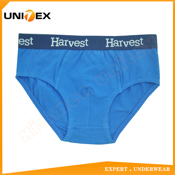 Custom Classic Solid Color 100% Cotton Fabric With Jacquard Waistband Boy's Thong Boxer Briefs