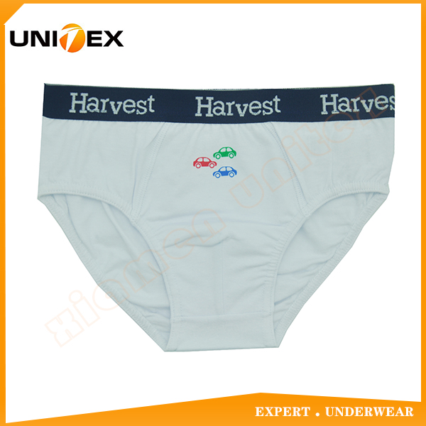 Facoty OEM/ODM Classical 100% Cotton Fabric Boy's Thong Briefs Underwear Outer Waistband