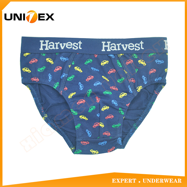 Professional Customized Classic 100%Cotton Fabric Boy's Briefs Thong Underwear