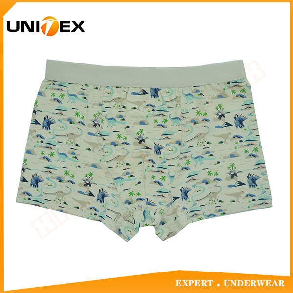 Hot Sales Teen Boy’s Super Soft Printing Boy's Boxer Underwear