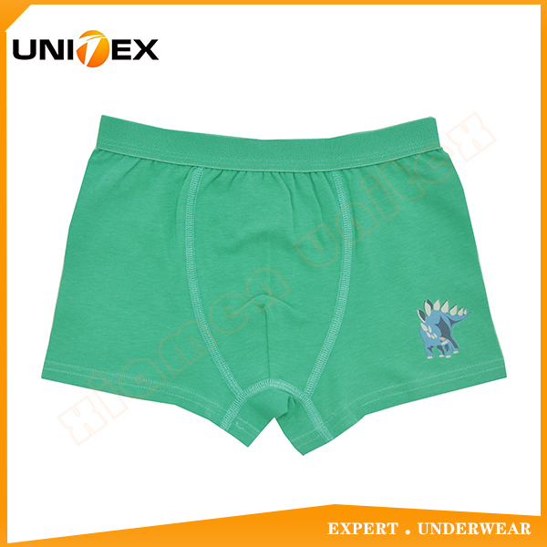 Children Cute Cartoon Design Solid Color Boy's Boxer Briefs