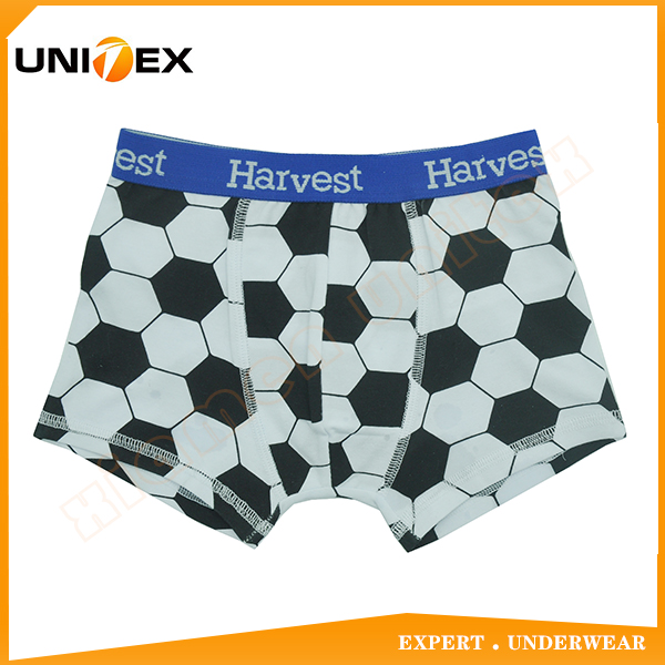 Professional Printing Comfort Soft Fabric Boy's Cotton Boxer Underpants