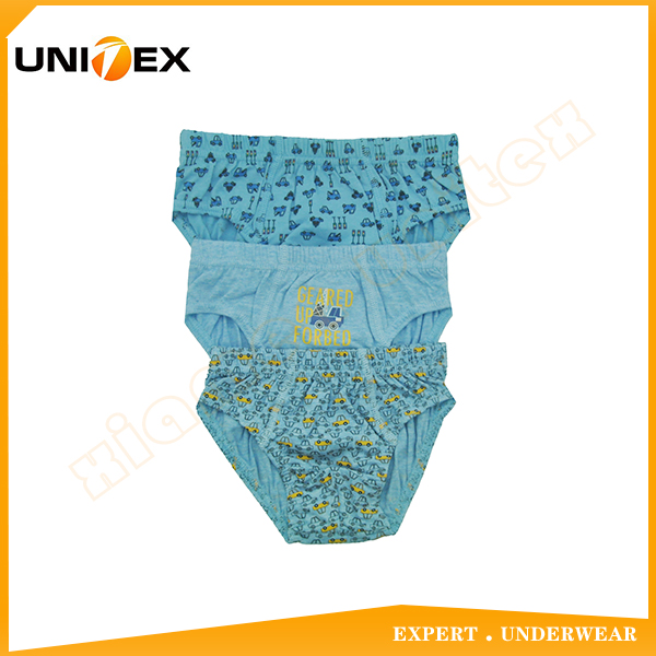 3-Pack Basic 100%Cotton Fabric Boy's Briefs