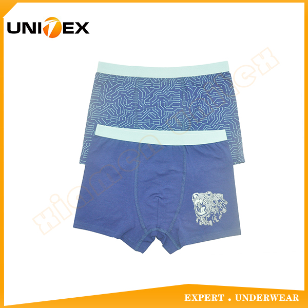 Classic Comfort Cotton Fabric 2-Pack Boys Boxer Shorts Underwear