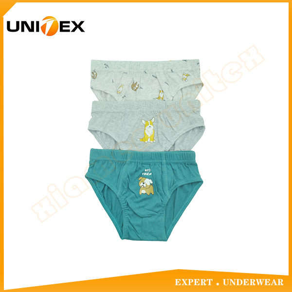 3-Pack Basic Cotton Fabric Boy's Briefs Underwear