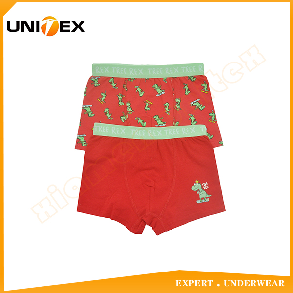 2-Pack Classic Boxer Shorts Cotton Spandex Fabric Boy's Boxer Trunk Underwear