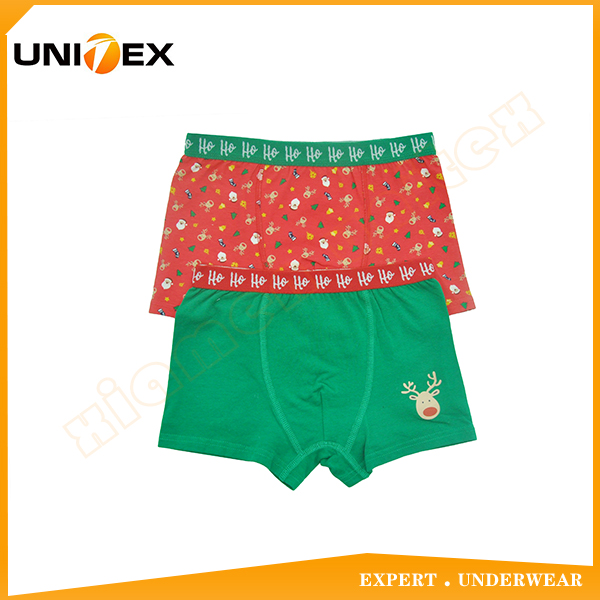 2-Pack School Boys Cotton Fabric Basic Stylish Boxer Underwear