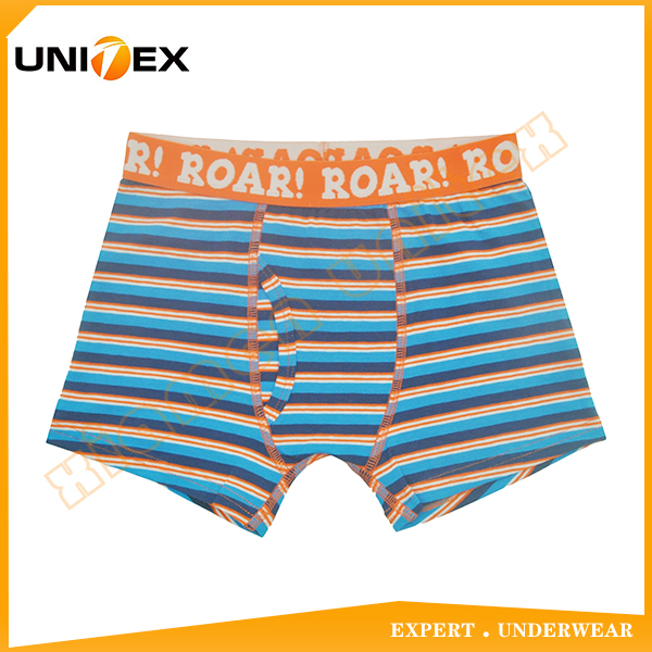 Boy's Cotton Spandex Boxer Briefs Underwear