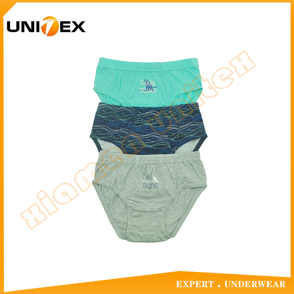 Wholesale Cotton Underwear 3pcs-Pack Boy's Thong Briefs Underwear Children Underpant
