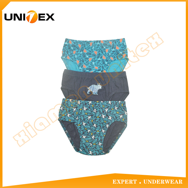 Soft Cotton Fabric Underwear 3pcs-Pack Boy's Thong Briefs Underwear 