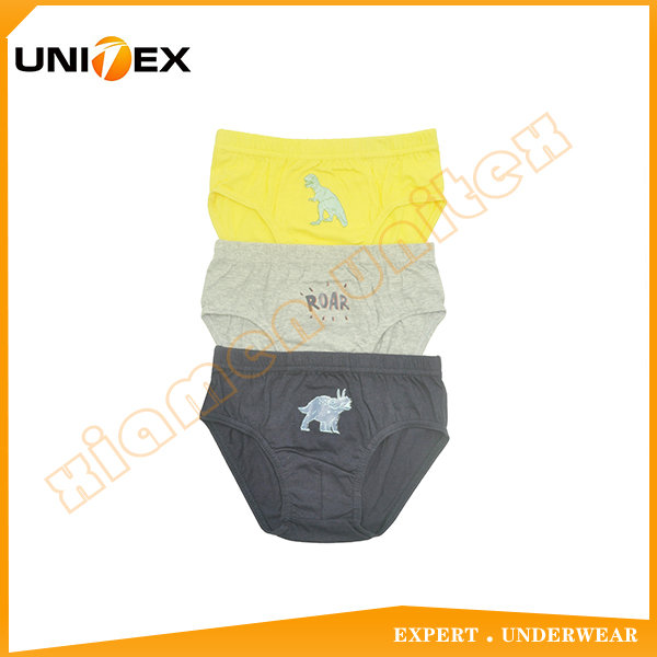 Children Underpant 3pcs-Pack Boy's Comfy Cotton Thongs Underwear 