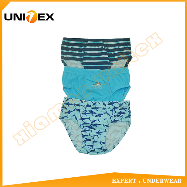 Wholesale Underwear Manufacturers Cotton Fabric Underwear 3pcs-Pack Boy Briefs