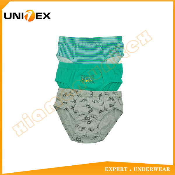 Basic Cotton Underwear 3pcs-Pack Boy Thong Briefs Underwear