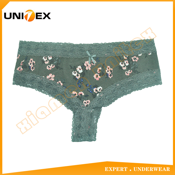 Women's Sexy Briefs Comfortable Lace Underwear